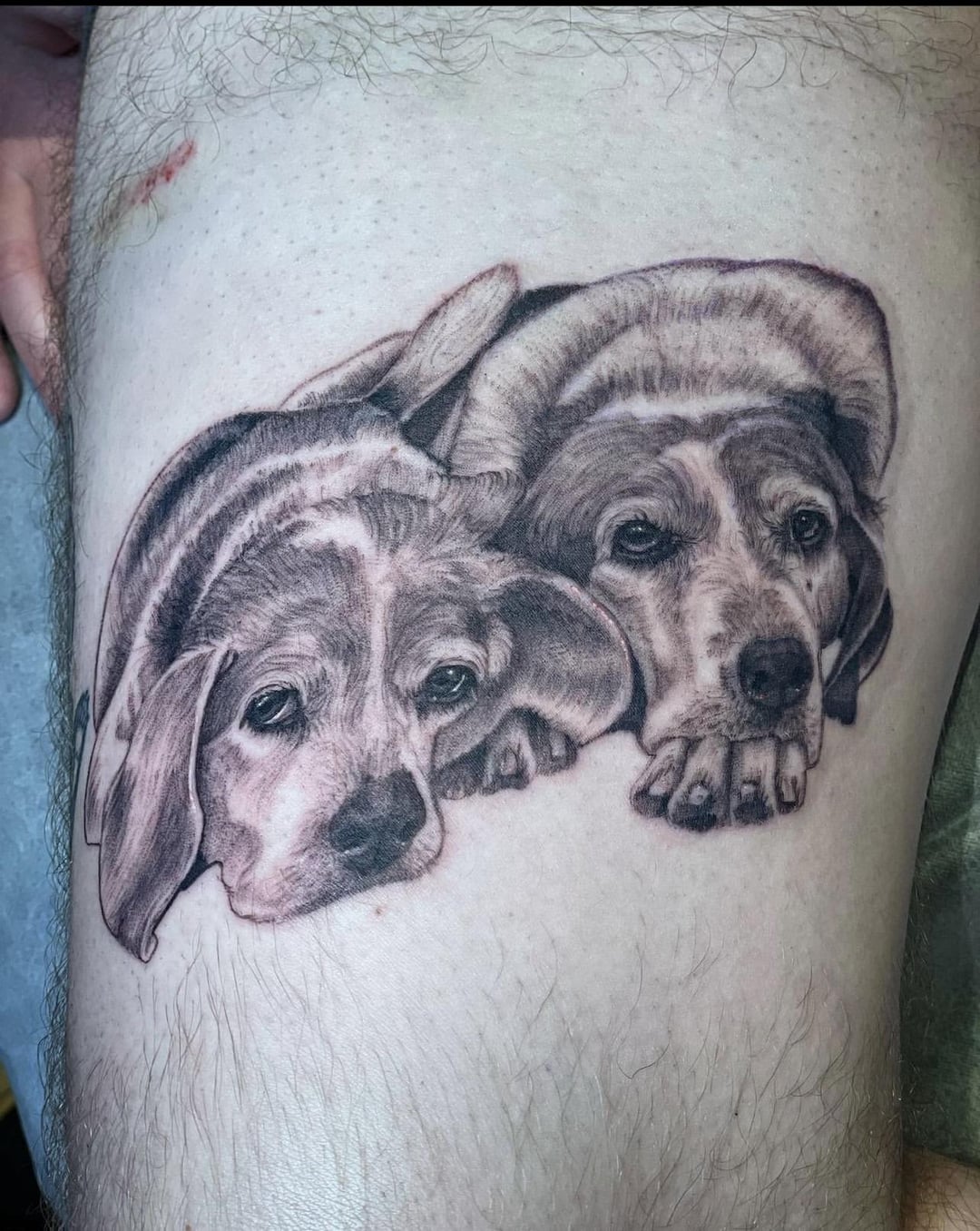 Keegan and Clooney by Nicole Renee. Private studio in Chicago, IL.