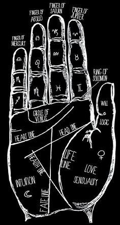 What Does Your Palm Reveal About Your Personality?