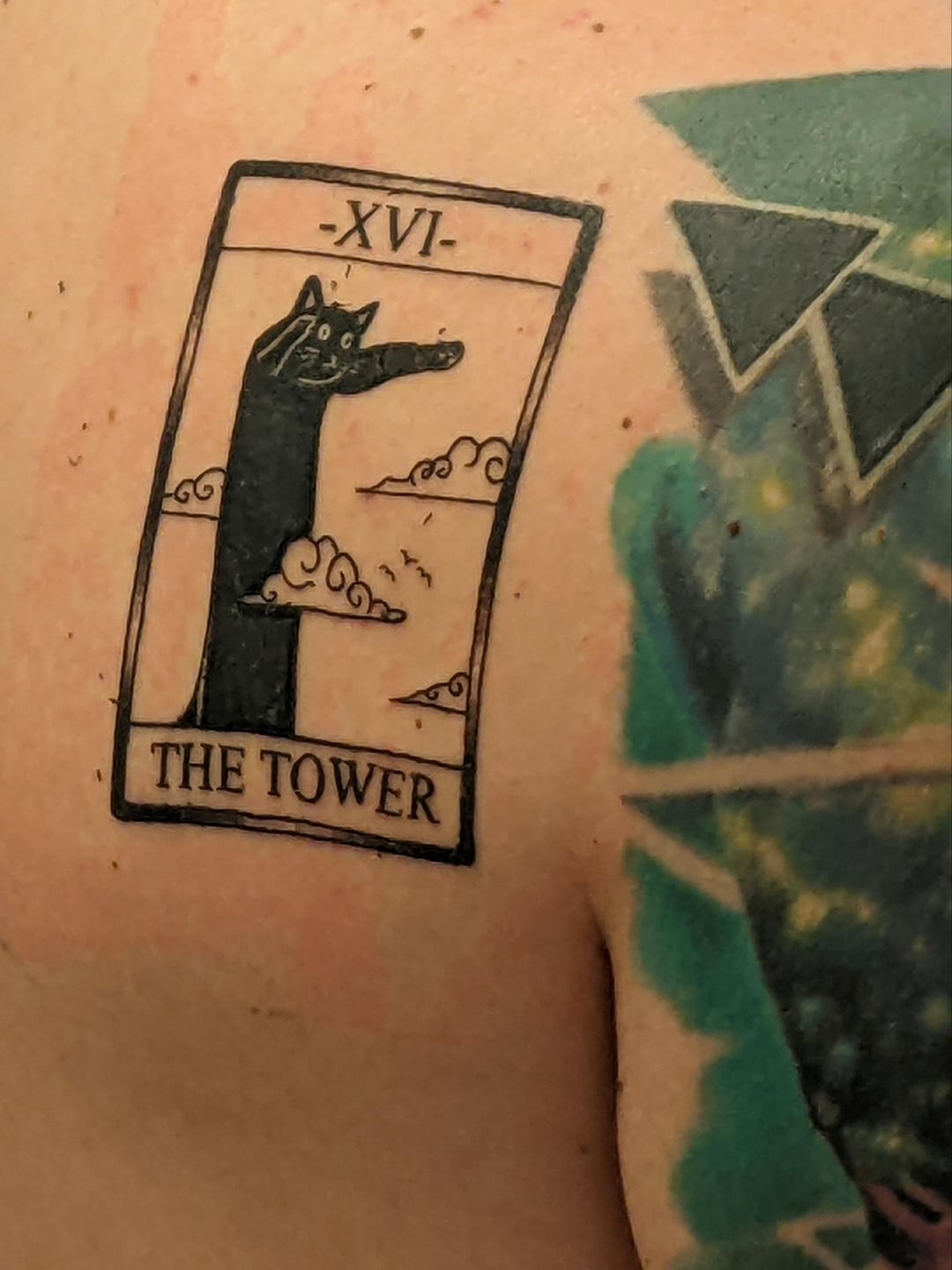 Cat Tarot, Paul Donahue, guest spot at Hunter Gatherer Tattoo, Philadelphia, PA