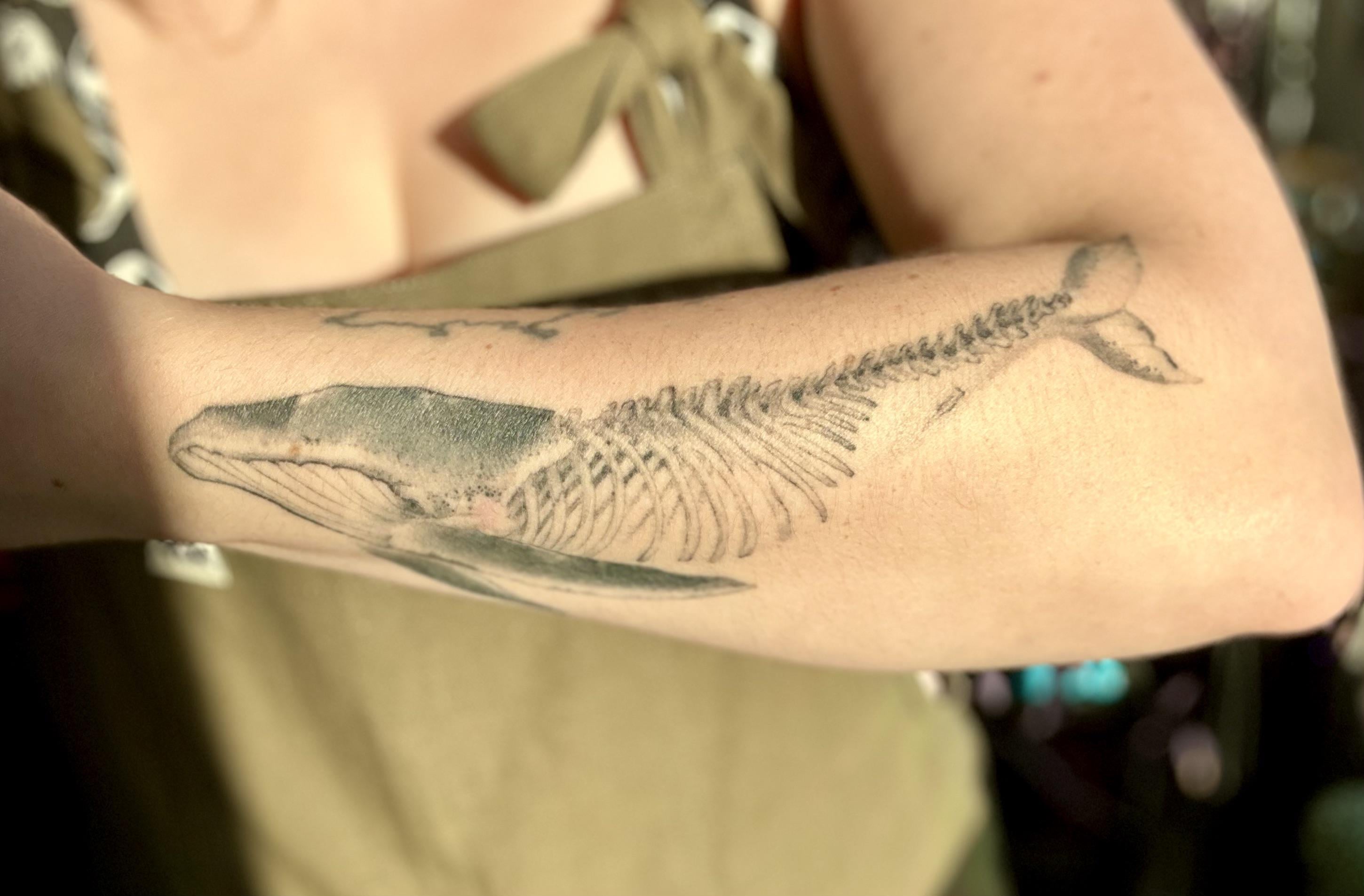 Whale by James Alexander at Wolfsheep in Victoria, BC.