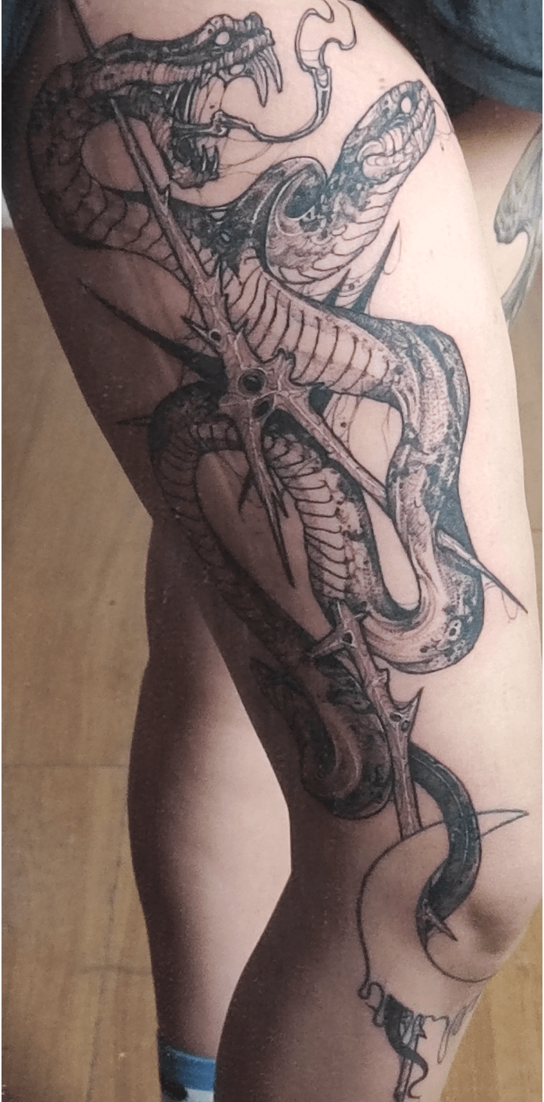 My latest one: Two headed snake, Buenos Aires, Argentina.