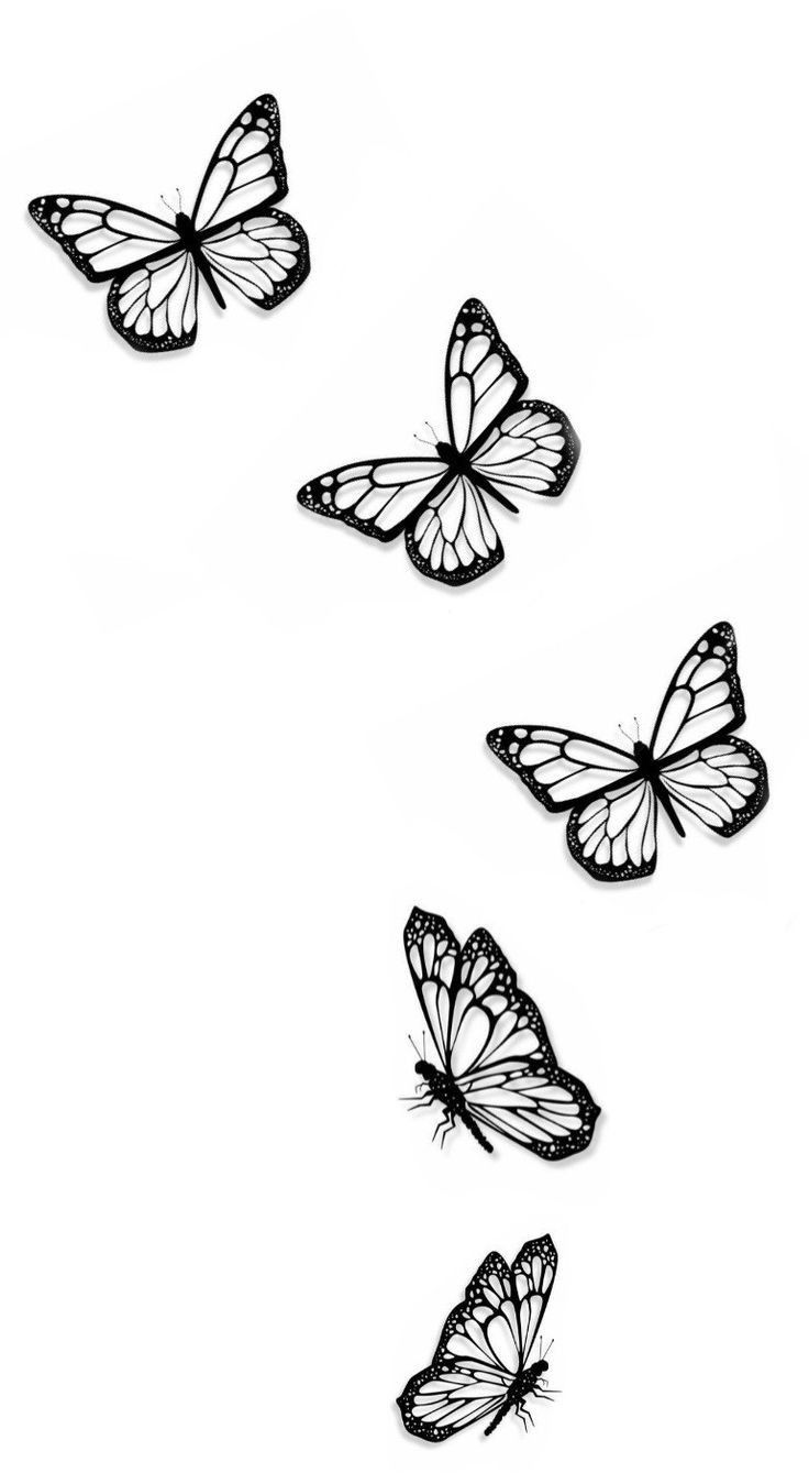 Pin by jota MR_66 on plantillas y marcos | Butterfly tattoos images, Butterfly tattoo, Butterfly tattoos for women